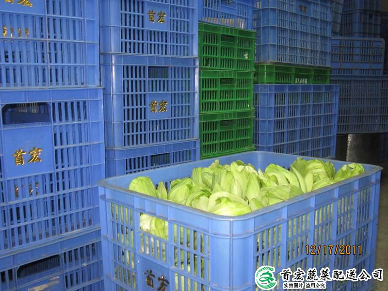 东城有机龙8唯一官网公司