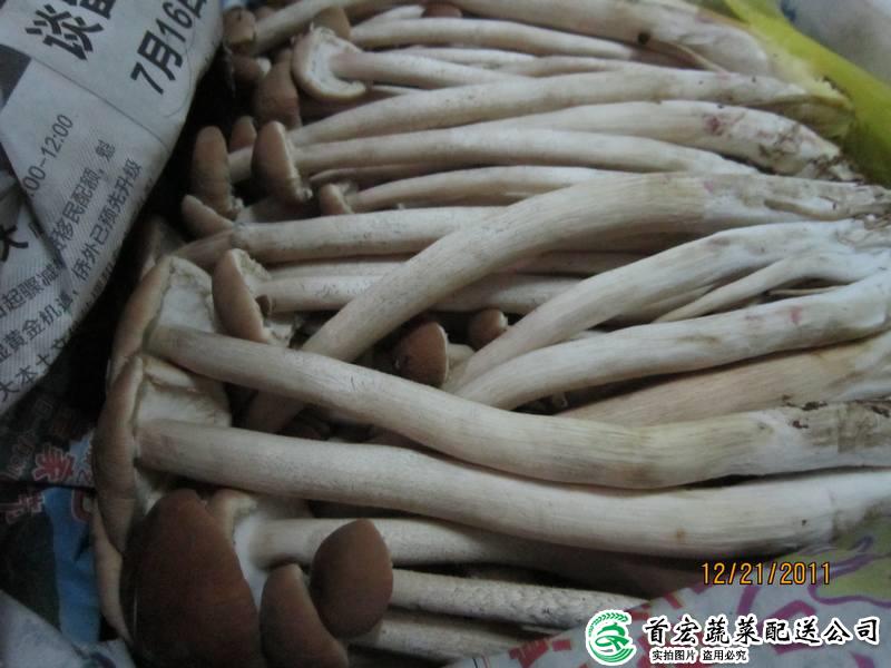 东坑龙8唯一官网有限公司